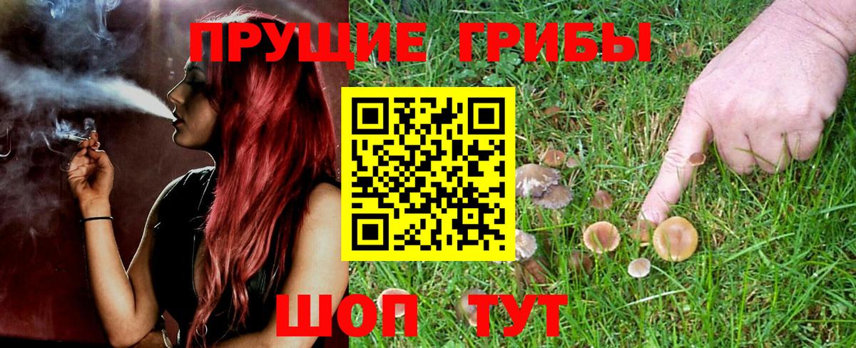 Галлюциногенные грибы мицелий Кунгур